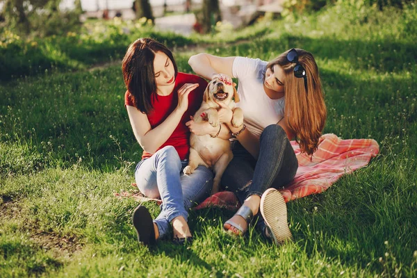 Flickor med hund — Stockfoto