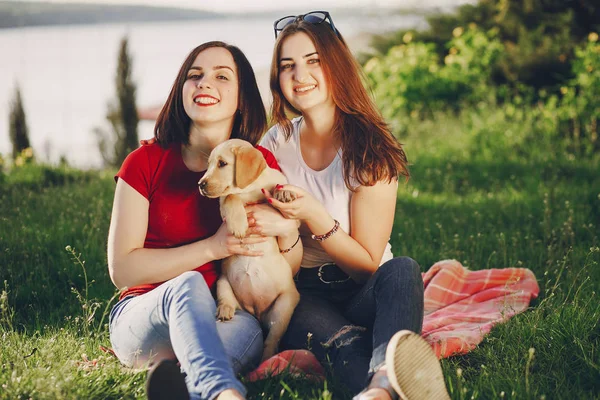Две Молодые Красивые Девушки Летнем Солнечном Парке Играют Собакой — стоковое фото