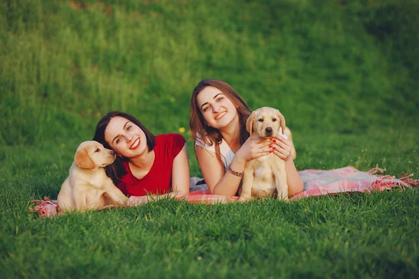 Mädchen mit Hund — Stockfoto