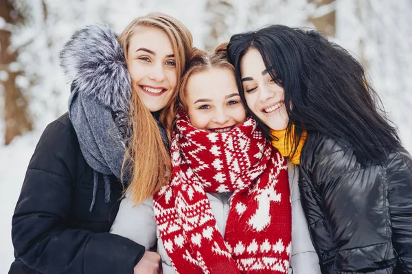 Chicas en un parque — Foto de Stock