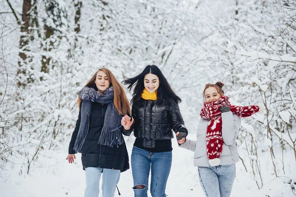 Chicas en un parque — Foto de Stock