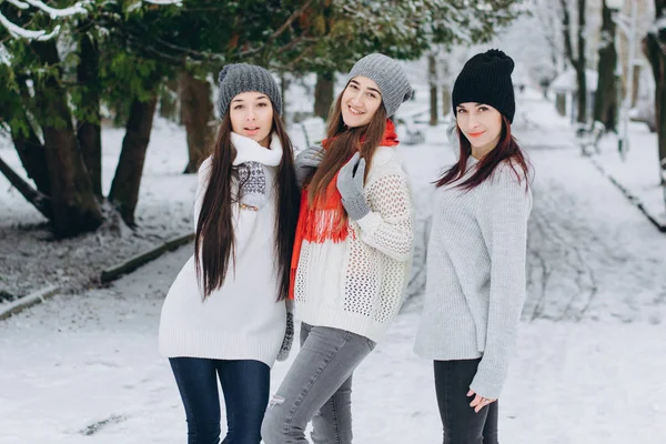 Chicas en el parque de invierno —  Fotos de Stock