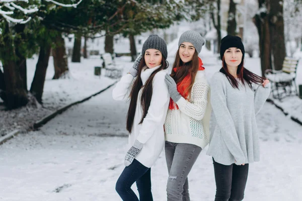 Kızlar kış parkı — Stok fotoğraf