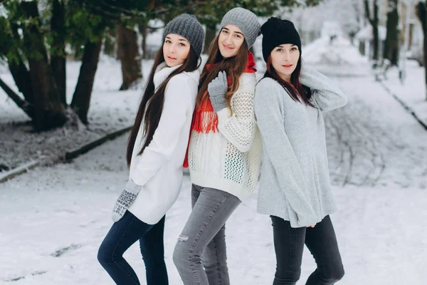 Chicas en el parque de invierno —  Fotos de Stock