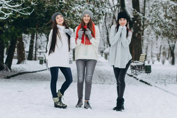 Chicas en el parque de invierno —  Fotos de Stock