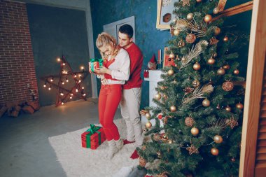 sevgi dolu çift Noel ağacı süsleme