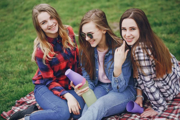 Meninas em um piquenique — Fotografia de Stock