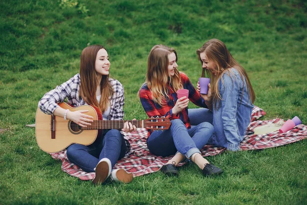 Flickor på picknick — Stockfoto