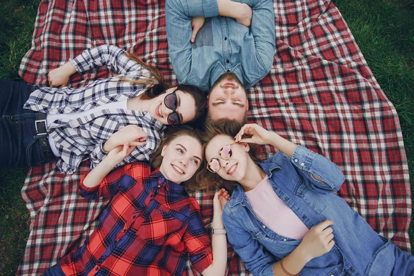 Vänner på en picknick — Stockfoto