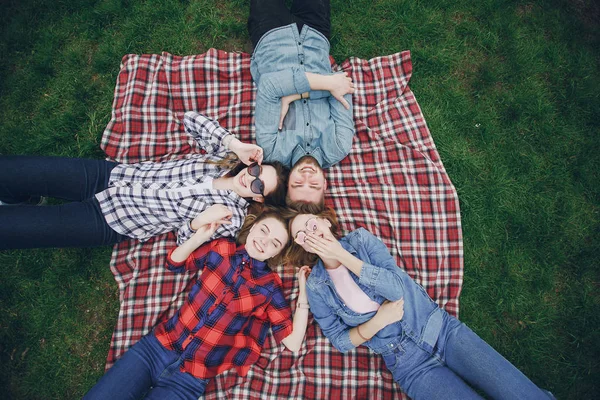 Vänner på en picknick — Stockfoto