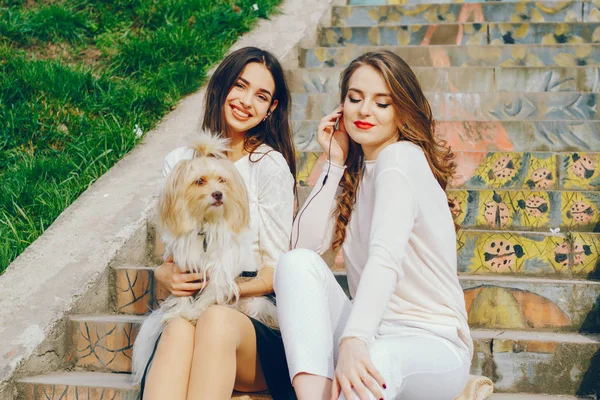 De meisjes lopen in het park met hond — Stockfoto
