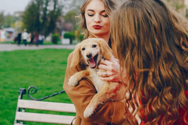 Le ragazze camminano nel parco con il cane — Foto Stock