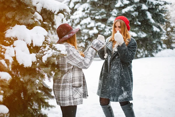 Meninas no inverno — Fotografia de Stock