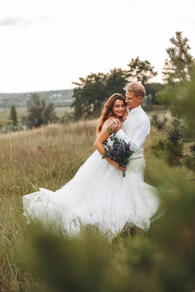 Güzel düğün çifti bir yaz alanında