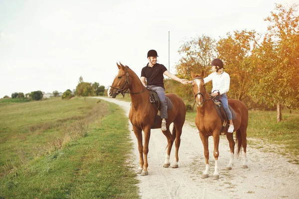 Pareja con caballos — Foto de Stock