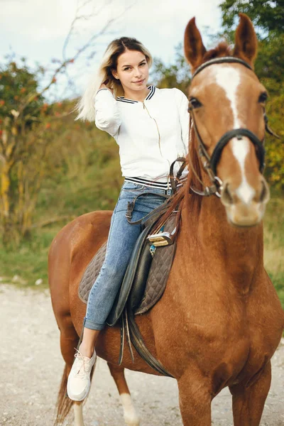 Mujer con caballos — Foto de Stock