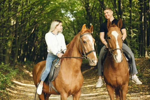 Couple with horses — Stock Photo, Image