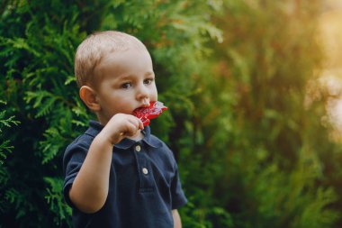 Şirin küçük çocuk.