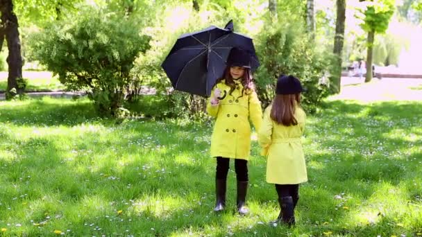 Parkta birlikte oynayan iki kız kardeş — Stok video