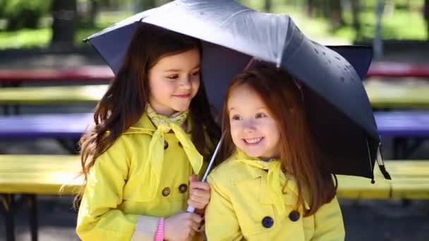 Zwei Schwestern spielen zusammen im Park — Stockvideo