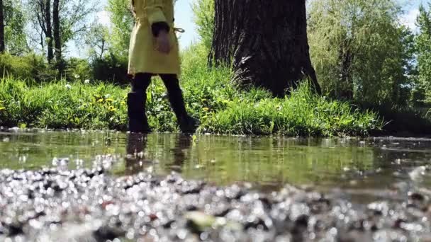 Child playing in a puddle in the park — Stock Video