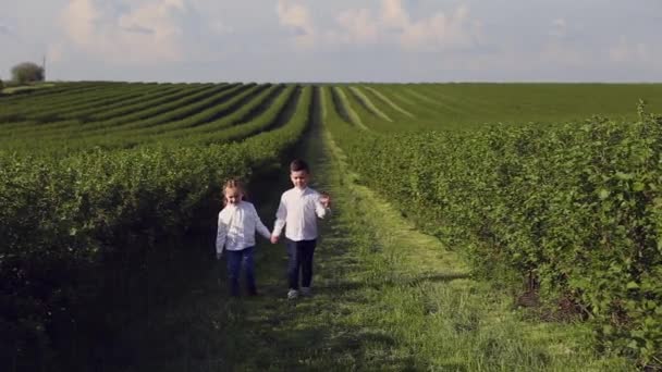 Crianças pequenas em um campo — Vídeo de Stock