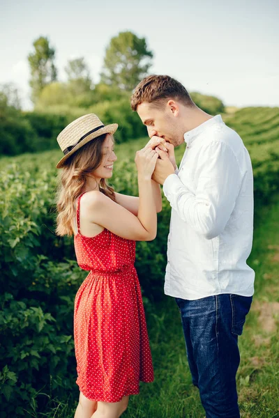 Vackra par tillbringar tid på ett sommarfält — Stockfoto