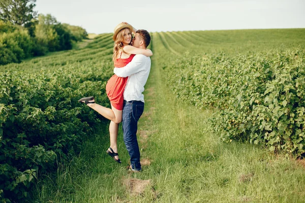 Belo casal passar o tempo em um campo de verão — Fotografia de Stock