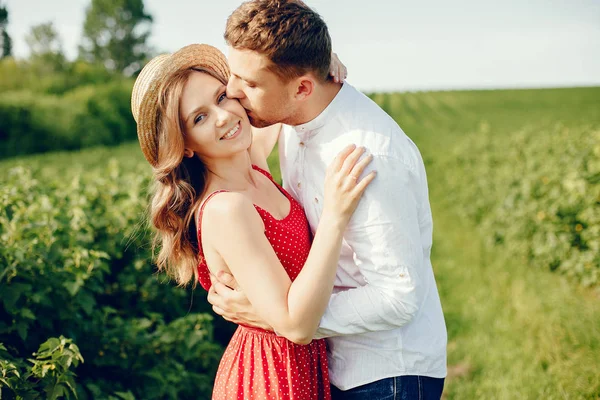 Vackra par tillbringar tid på ett sommarfält — Stockfoto