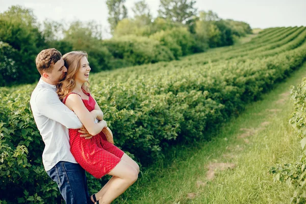 Belo casal passar o tempo em um campo de verão — Fotografia de Stock