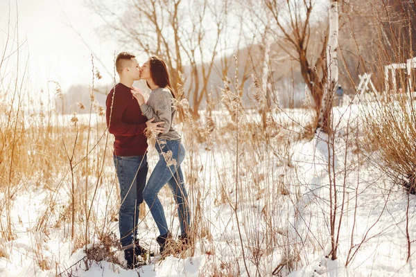 Casal em um parque de inverno — Fotografia de Stock