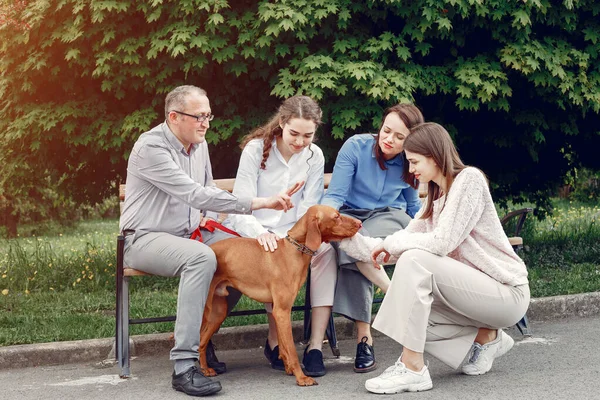 Κομψή οικογένεια περνούν το χρόνο τους σε ένα καλοκαιρινό πάρκο — Φωτογραφία Αρχείου