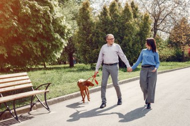 Bir yaz ormanında köpeklerle güzel bir çift