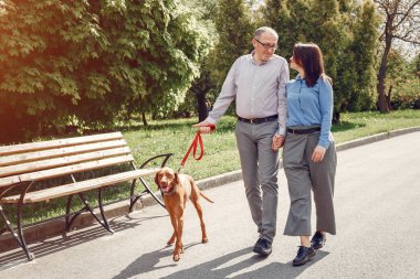 Bir yaz ormanında köpeklerle güzel bir çift