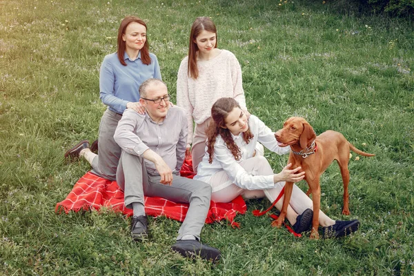 Κομψή οικογένεια περνούν το χρόνο τους σε ένα καλοκαιρινό πάρκο — Φωτογραφία Αρχείου