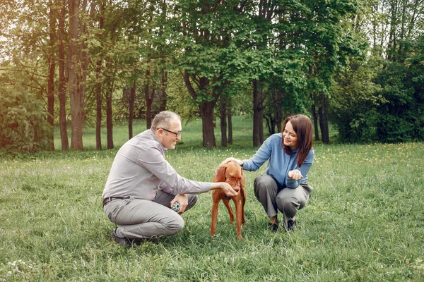 Hermosa pareja en un bosque de verano con perros — Foto de Stock