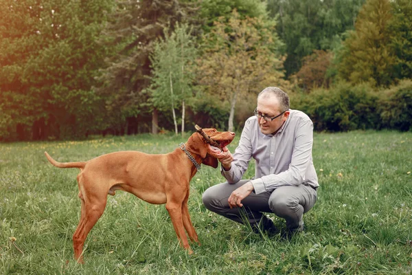 Hombre adulto en un parque de verano con un perro — Foto de Stock