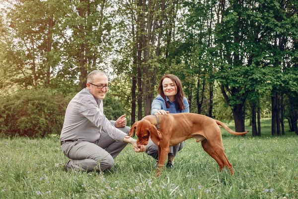 Hermosa pareja en un bosque de verano con perros — Foto de Stock