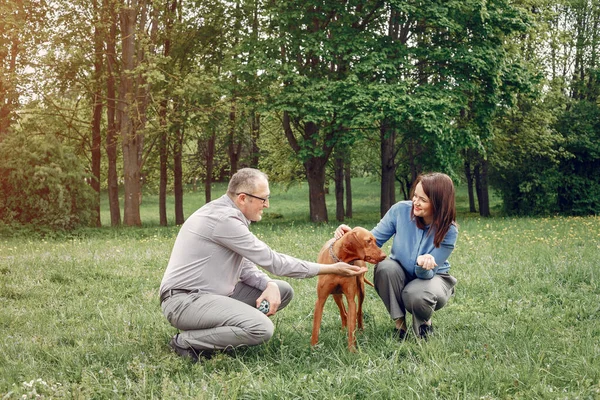 Hermosa pareja en un bosque de verano con perros — Foto de Stock