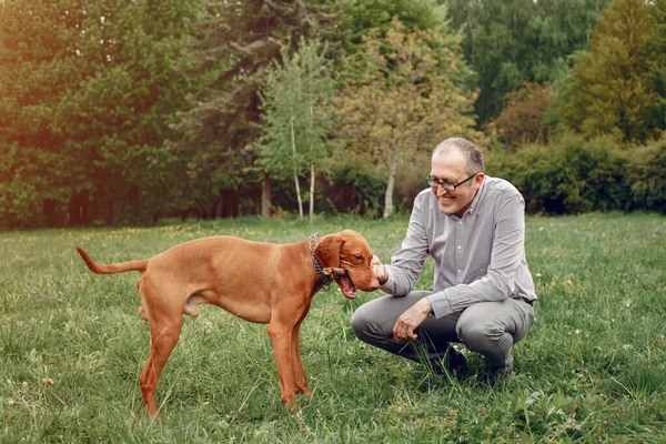 Hombre adulto en un parque de verano con un perro — Foto de Stock