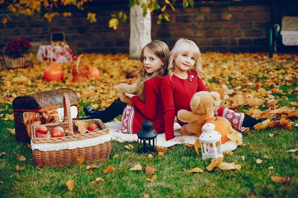 Linda niña en un parque de otoño —  Fotos de Stock