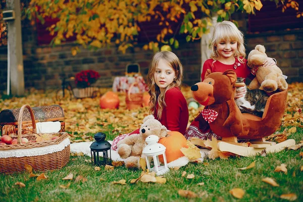 Linda niña en un parque de otoño —  Fotos de Stock