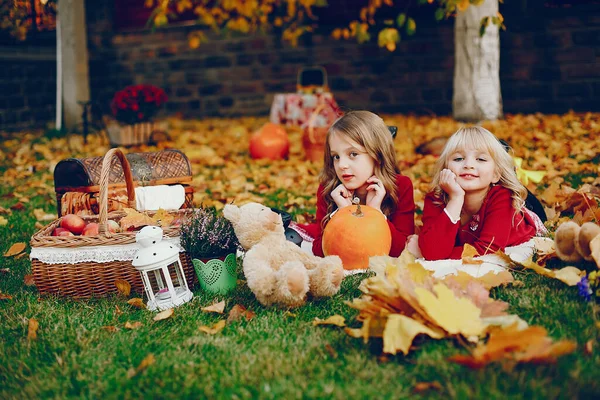 Menina bonito em um parque de outono — Fotografia de Stock