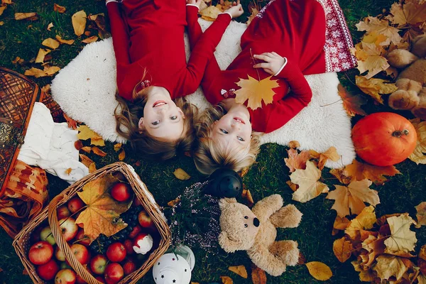 Carina bambina in un parco autunnale — Foto Stock