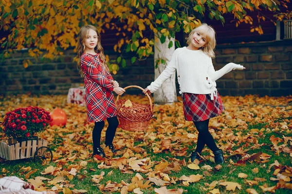 Petite fille mignonne dans un parc d'automne — Photo