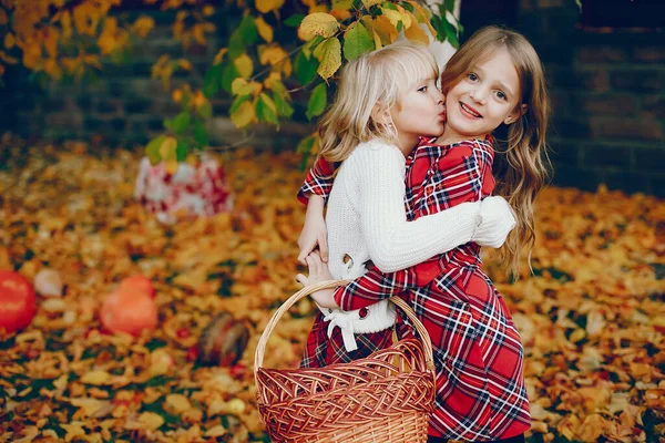 Roztomilá holčička v podzimním parku — Stock fotografie