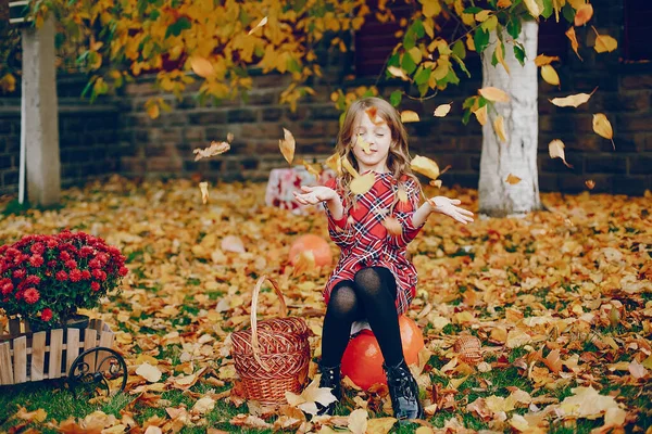 Carina bambina in un parco autunnale — Foto Stock