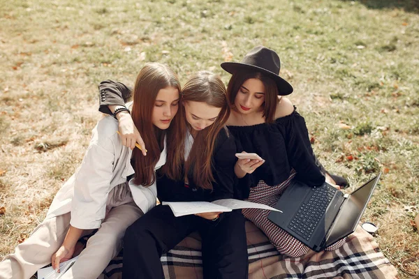 Drei Studenten sitzen mit Laptop auf einer Wiese — Stockfoto