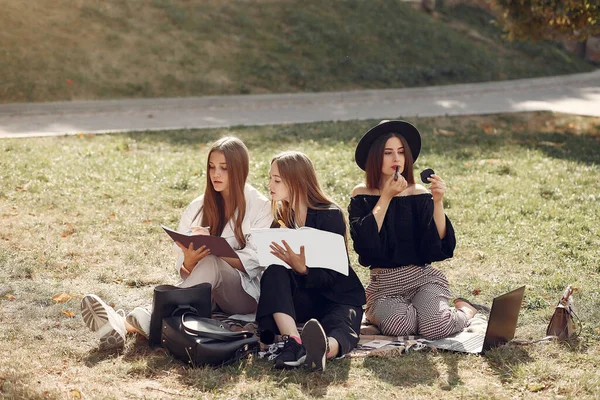 Tres estudiantes sentados en una hierba con portátil —  Fotos de Stock