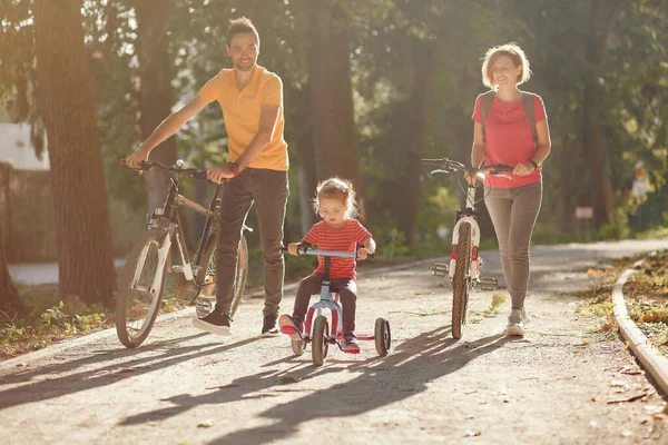 Familia con bicicleta en un parque de verano —  Fotos de Stock